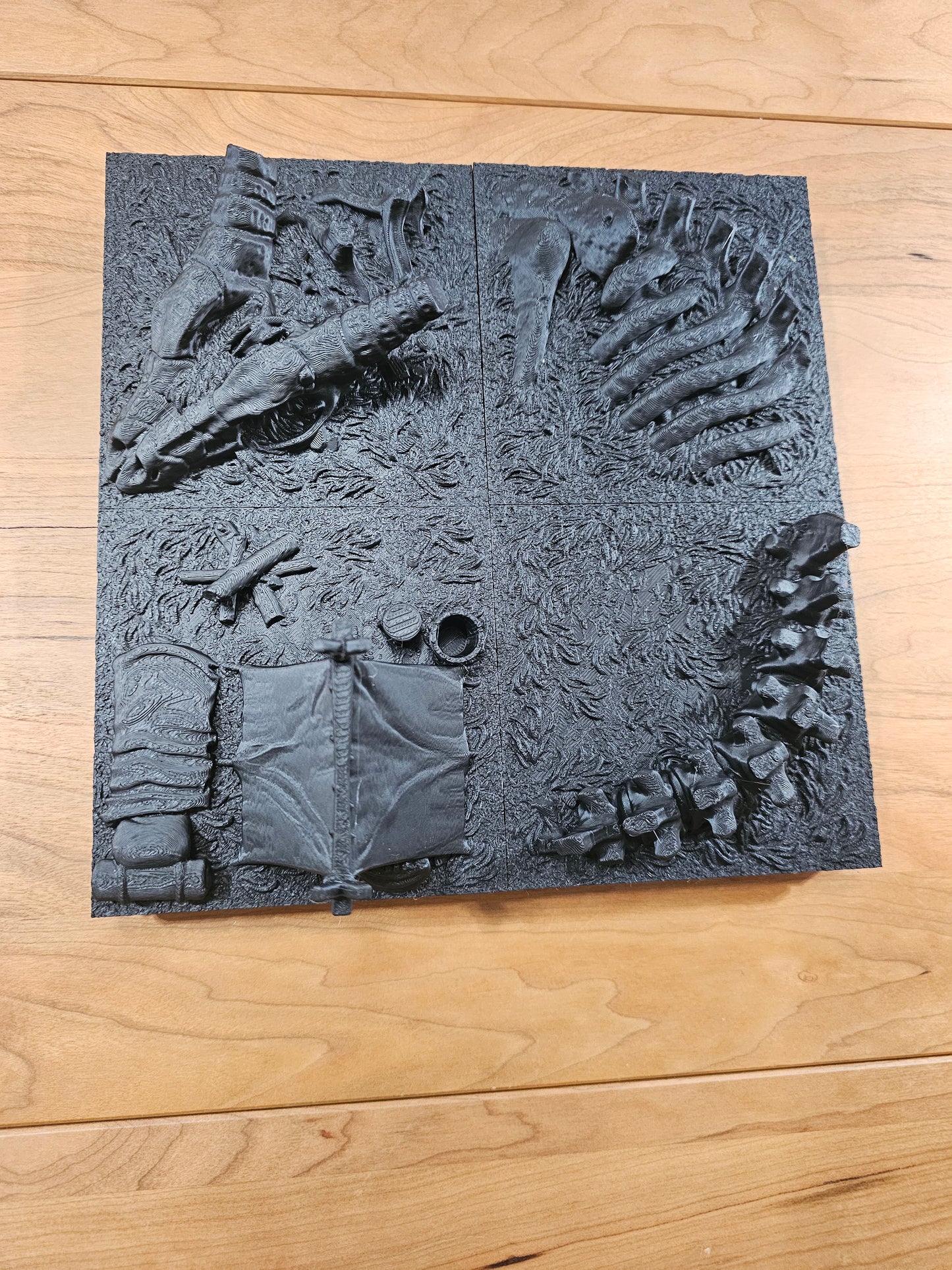 Fossil Study Campsite