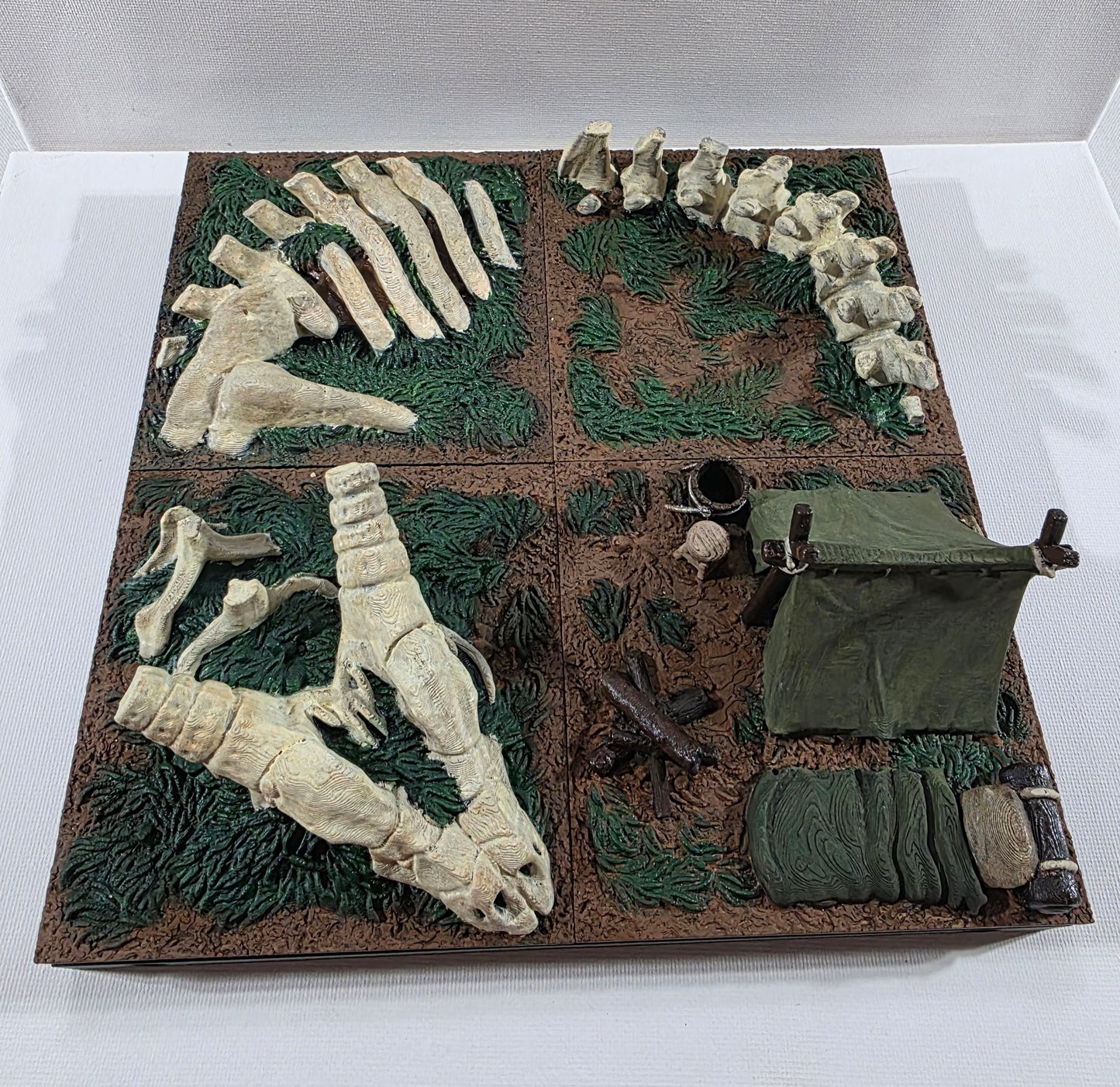 Fossil Study Campsite