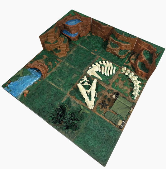 Excavation Site